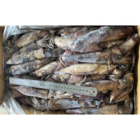 Approvisionnement toute l'année en calmar congelé Todarodes Pacificus U3/U7, emballage en vrac naturel