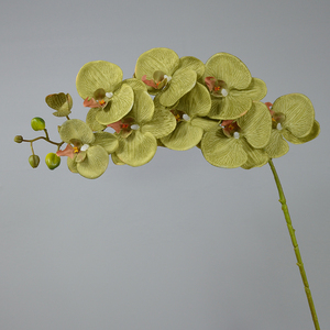 Hot Xu Hướng Nhân Tạo 9 Đầu Kết Cấu Lan Hồ Điệp duy nhất Chi Nhánh Lụa Bướm Hoa Lan Hoa Cho Nhà Phòng Khách Trang Trí - Product Image 5