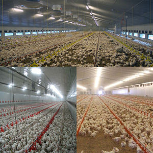 OGJG 4ft 1.2 m <span class=keywords><strong>LED</strong></span> Tubo Luci T8 IP66 Impermeabile Allevamento di Polli Uso <span class=keywords><strong>LED</strong></span> Pollame Luce - Product Image 6