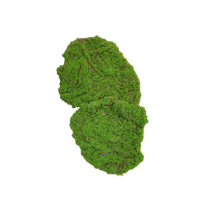 Mousse artificielle E241, gazon artificiel, <span class=keywords><strong>fausse</strong></span> pelouse pour fenêtre, mur végétal vert, sous-couche décorative, <span class=keywords><strong>fausse</strong></span> pelouse floquée - Product Image 6