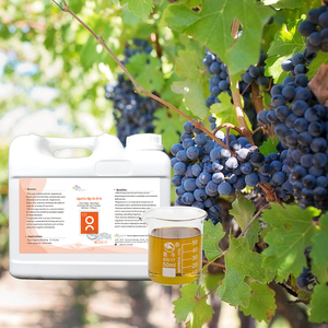 Chất Lượng Cao Hữu Cơ Phân Bón Lỏng Đường Rượu Canxi Magiê Boron Kẽm Sắt Thuận Tiện Cho Dễ Dàng Hấp thụ Cây Trồng - Product Image 2