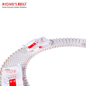 Hongsbelt HS-300B-PLUS chiều rộng tối thiểu 242mm Modular curvedconveyor vành đai cho băng tải cực rộng - Product Image 4