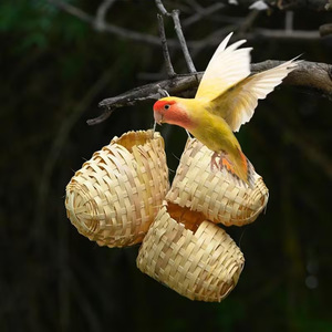 รังนกไม้ไผ่ทำมือพร้อมตะขอรูปทรงกลมสำหรับนกตกแต่งสไตล์ชนบทขนาดกลาง แหล่งกำเนิดฝูเจี้ยน - Product Image 1