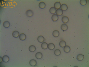 Perlas Magnéticas Epoxi Monodispersas de Tamaño de Partícula Uniforme para Inmunoprecipitación e Investigación de Laboratorio - Product Image 6