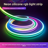 Kit de Bande Lumineuse LED Néon Flexible IP20 à Couleurs Fantaisie, RVB à Effet Défilant, pour Décoration d'Ambiance et Enseignes Lumineuses, Approvisionnement Direct Transfrontalier