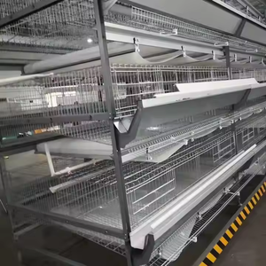 Lage Prijs Kippenhok Gevogelte Kooi Langdurige Laag Eieren Legmateriaal Voor Pluimveebedrijf Jaula Para Pollos Kooi Para Manok - Product Image 6