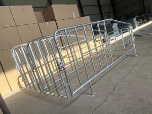 Caisse de gestation pour porcs galvanisée à chaud personnalisée <span class=keywords><strong>Cage</strong></span> de position de préganace à 10 rangées pour élevage de porcs - Product Image 5