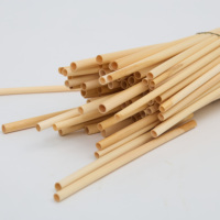 Pailles biodégradables écologiques de haute qualité pour boissons, pailles à boire en bambou biologique avec logo personnalisé