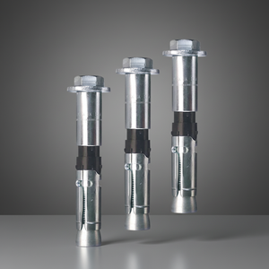 בורג עיגון טריז דשנג למכונות כבדות, מגולוון, בורג עיגון כבד M8/M10/M16/M20/M24 - Product Image 1