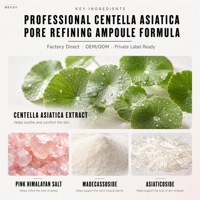 Sérum Botanique en Gros à la Centella pour Minimiser les Pores, Équilibrant le Teint et la Production de Sébum – Fournisseur en Gros pour Spas