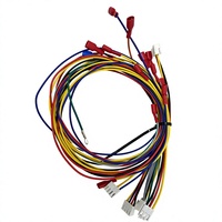 Faisceau de câbles basse tension 1569/1007 105 ℃   Ensemble de câbles 300V 18AWG (longueur personnalisable)