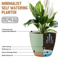 Pot de Plantation P78 pour Pépinière, Intérieur Extérieur, pour Plantes Grasses et Plantes, Jardinières Auto-Arrosantes avec Trous de Drainage et Soucoupes