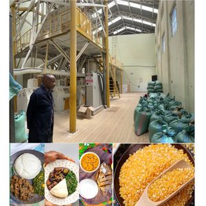 Molino de Maíz Xingfeng de Alta Eficiencia y Calidad, 50 Toneladas/24h, con Motor y Rodillo, para Uganda y Kenia - Product Image 4