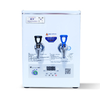 Chauffe-eau instantané de cuisine sous comptoir, distributeur d'eau bouillante instantanée, robinet d'eau bouillante