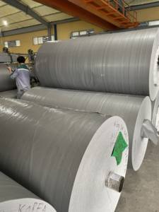 Bâche en PE de taille personnalisée Fabricant de feuilles de plastique robuste - Product Image 6