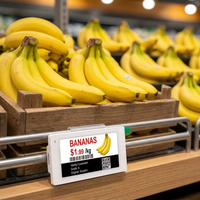 Etiquetas de Precio Digitales para Supermercados LEEKA ESL de 3.5 Pulgadas, Ecológicas y de Larga Duración, Etiquetas Electrónicas