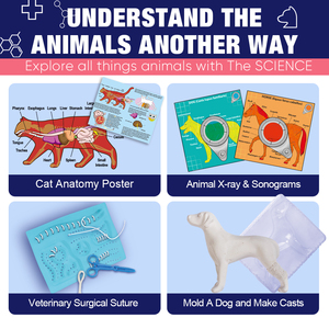 Ensemble vétérinaire de jeu scientifique avec chiot Examiner et traiter Ensemble vétérinaire de jeu Ensemble de 6 pièces comprenant un <span class=keywords><strong>kit</strong></span> vétérinaire pour chiot patient <span class=keywords><strong>Jouet</strong></span> scientifique - Product Image 3