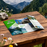Brochure couleur personnalisée imprimée en offset, livret pliable une page, papier fantaisie, format personnalisé, logo personnalisé, service d'usine