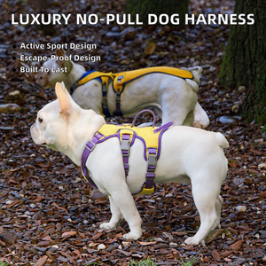 Harnais de luxe pour chien, anti-évasion, anti-traction, en nylon robuste et polyester rembourré, avec laisse de sport, facile à utiliser et élégant - Product Image 2
