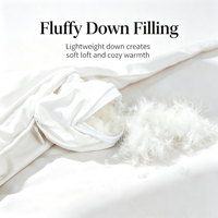 Couette universelle toutes saisons en duvet de canard, taille Queen, blanche, insert de couette doux, moelleux et respirant en coton, couette de lit