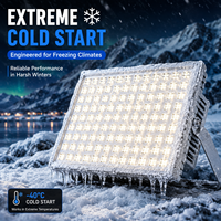 Projecteur LED en aluminium robuste 50W-400W, étanche IP65, protection contre les surtensions 4000V, démarrage à froid, extérieur, avec lentille haute efficacité