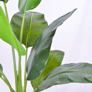<span class=keywords><strong>Prix</strong></span> usine voyageur artificiel feuille de <span class=keywords><strong>bananier</strong></span> faux palmier du voyageur fausse plante pour la <span class=keywords><strong>d</strong></span>écoration - Product Image 5