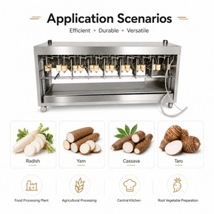 Machine à éplucher les radis, les ignames, la laitue et les tubercules de manioc - Product Image 6
