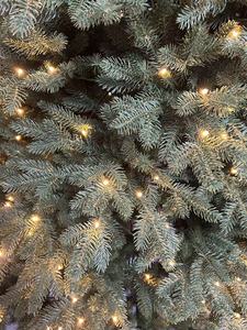 Árboles de Navidad a Precio de Fábrica, Tamaños Personalizados al por Mayor, Árbol de Navidad Completamente de PE con Material Ignífugo - Product Image 4