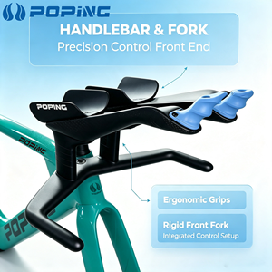<span class=keywords><strong>Vente</strong></span> <span class=keywords><strong>en</strong></span> <span class=keywords><strong>ligne</strong></span> exceptionnelle, cadre de vélo de piste <span class=keywords><strong>en</strong></span> fibre de carbone, véritable légèreté, version aérodynamique directe d'usine - Product Image 6