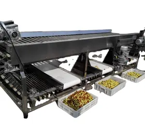 Advanced designed fruit screw tomato grading sorting machine with conveyor