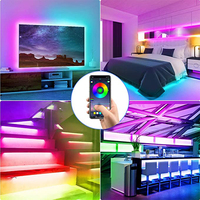 Commercial Dream Full Color Rgb DC12V 24V Magic Digital Smd 5050 Strip Rgbic Led Strip Light Smart Addressable RGB LED Strips