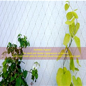 Longue durée de vie <span class=keywords><strong>France</strong></span> 1.5 Mm 120*120 Mm Ss Treillis métallique pour l'escalade des plantes de jardin - Product Image 5