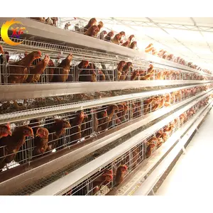 Chicken Farm Multi-Tier Breeding Equipment Hot-Dip Galvanized Laminated Automatic Poultry Cages Layer Chicken Cage