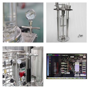Nuovo Bioreattore da Laboratorio Automatico Innova 20L con Controllo PLC, Pompa a Torre, Sterilizzazione in <span class=keywords><strong>Autoclave</strong></span>, 4 Gas Personalizzabili, 220V - Product Image 3