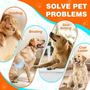 Probiotiques pour chiens OEM ODM sous forme de friandises molles pour le soutien immunitaire et la santé digestive, absorption rapide, toutes races et étapes de vie - Product Image 5