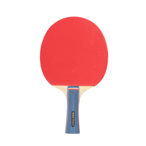 <span class=keywords><strong>Raquette</strong></span> de tennis de table pour l'entraînement des élèves du primaire et du secondaire, antidérapante et durable, double <span class=keywords><strong>raquette</strong></span> pour débutants - Product Image 5