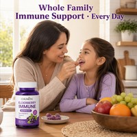 Gummies à la baie d'églantier OEM avec logo personnalisé, Sambucus 100mg, Vitamine C, Zinc, Immunité, Enfants, Adultes, Végétaliens, Sans sucre, Vente en gros