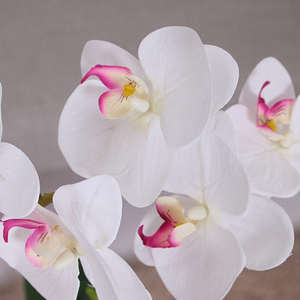 Orquídea Artificial Realista JIAWEI para Decoración del Hogar, Planta de Orquídea Artificial de Plástico con Luz LED, 35cm*50cm, Ecológica - Product Image 5