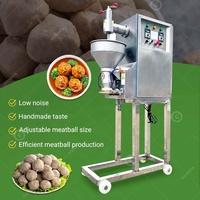 Ligne de production de boulettes de viande de poisson pour la maison Machine à fabriquer des boulettes de viande de poulet