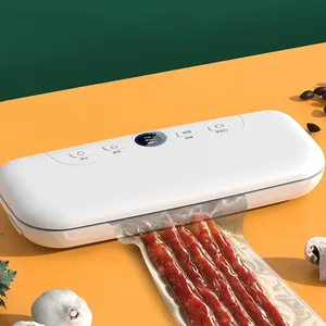 Haute Qualité Vide Basse Température De Poche Petit Automatique Portable Automatique Alimentaire Scellant Sous Vide Maison