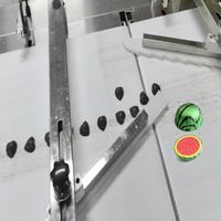 Machine d'emballage automatique à haute vitesse pour chocolat en forme de melon d'eau avec feuille de chocolat froissée et distribution de colle personnalisée