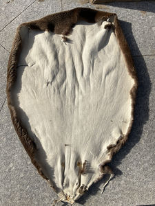 कच्चे बीवर त्वचा/प्राकृतिक वास्तविक बीवर पेल्ट - Product Image 2