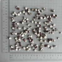2031 Graines de Gorgon Euryale séchées, non coupées, sans soufre, de haute qualité pour l'alimentation