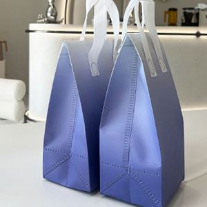 Wholesale Custom Non-woven Aluminum Foil Cooler <b>Bag</b> High Quality Leak-proof Coffee Cup Takeout Beverage <b>Packing</b> Insulated <b>Bag</b> - Product Image 5