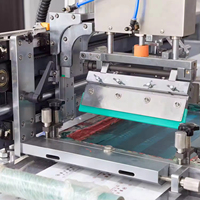 Lanière automatique à grande vitesse tissu d'écran en soie Nylon taffetas vêtement Satin soin étiquette Machine d'impression