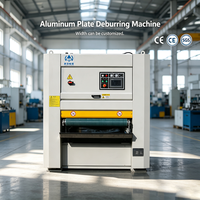 Équipement de polissage humide multi-métaux pour l'acier inoxydable, l'aluminium, le cuivre, le magnésium, polisseuse de surface pour tôles métalliques