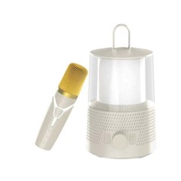 Enceinte Karaoké Portable Rechargeable avec Micro et LED, 10W*2, pour Barbecue en Extérieur, Entrée TF/AUX, Idéale pour Fêtes en Plein Air