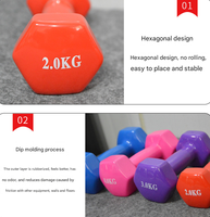 Haltères hexagonaux en fonte PINJIAN pour aérobic, surface lumineuse, pour femmes, fitness, durables, revêtement plastique, usage domestique