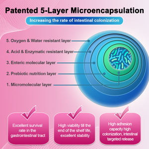 Poudre de prémélange probiotique OEM pour la santé vaginale féminine 30 milliards UFC/g + Canneberge, Acide Hyaluronique, <span class=keywords><strong>Collagène</strong></span> - Vrac pour Capsules et Poudres - Product Image 5