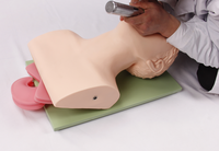 Modèle anatomique d'entraînement pour adultes, modèle médical de gestion des voies respiratoires en PVC pour les écoles YULIN YL-326-1 CE/ISO
